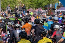 IMG_4016_fast_42ff47.JPG