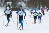 Vitek_Bradna_fast_b4d2bc.jpg