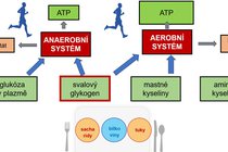 energeticke_systemy_koncept_fast_1bd6e2.jpg